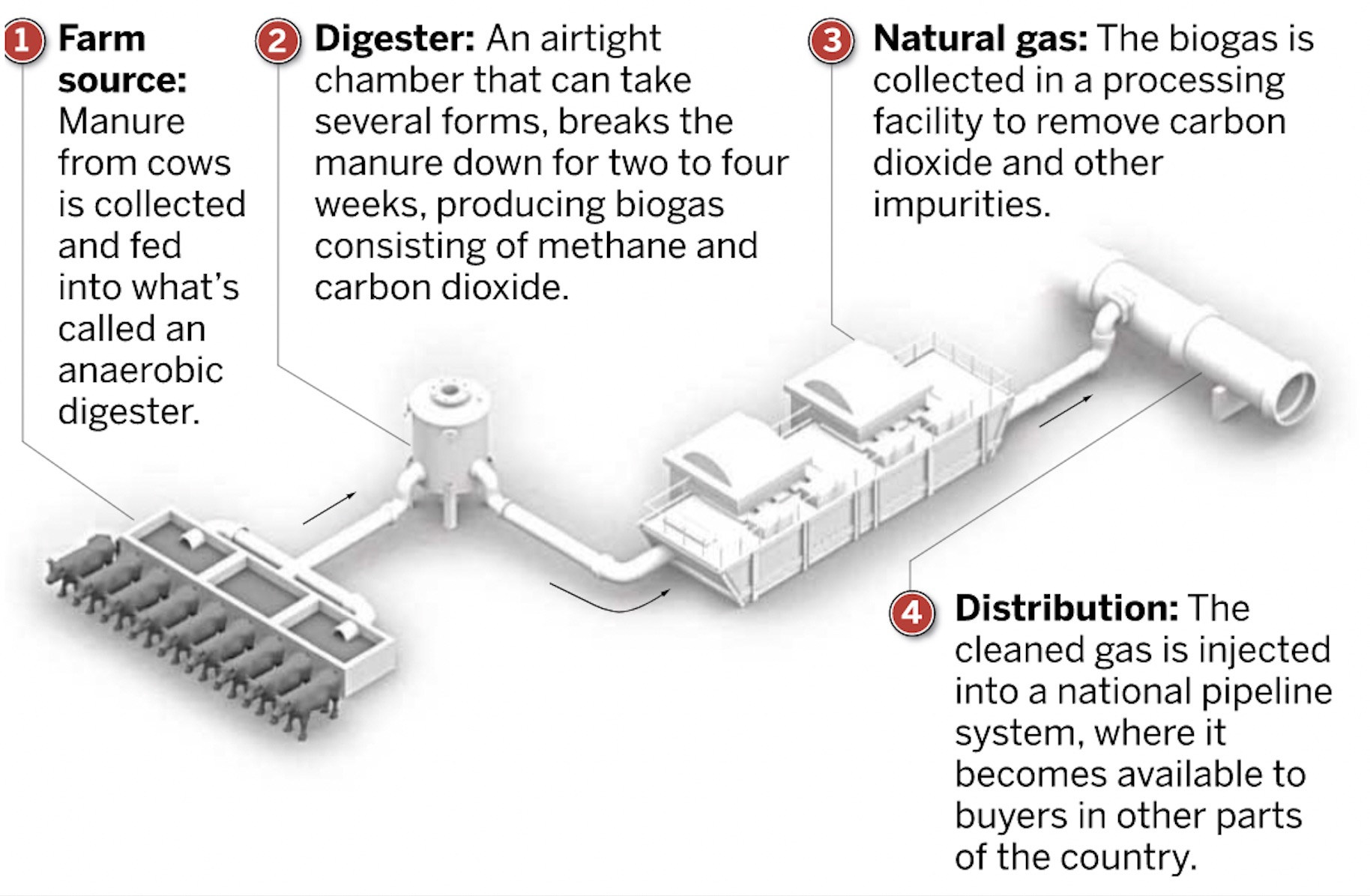 biodigester