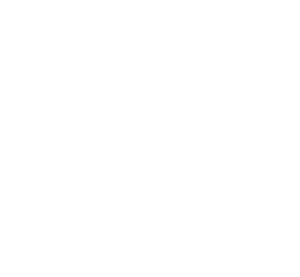 cummins_white_logo.