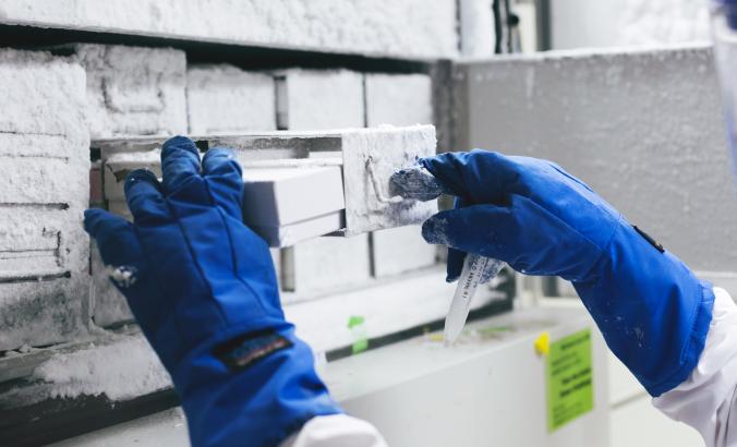 Gloved hands taking a box out of a freezer 