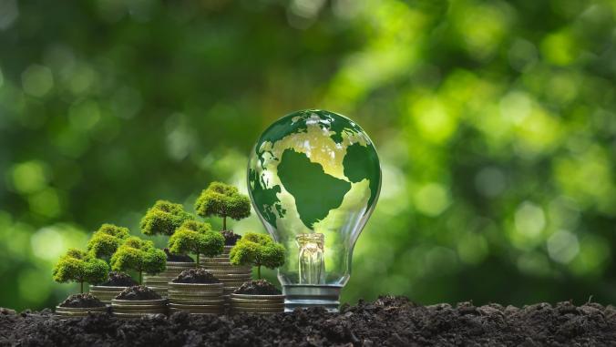 Trees on piles of silver coins near a light bulb with a world map