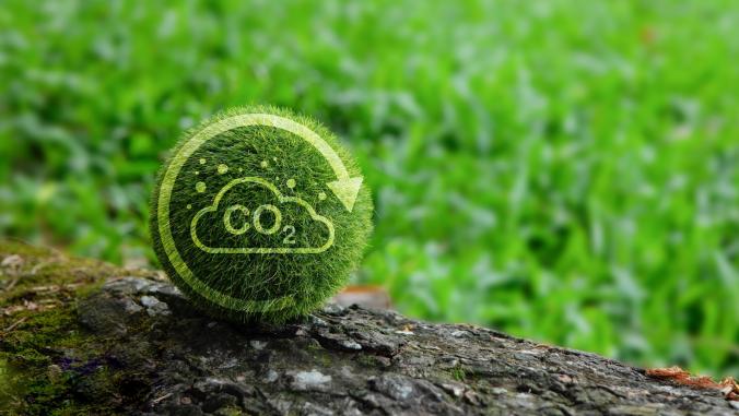 Green, globe-shaped ball (displaying a carbon reduction icon) resting on a log