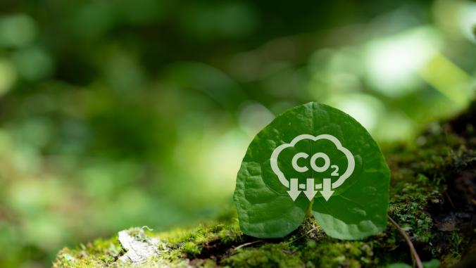 Carbon reduction icon displayed on a leaf in nature