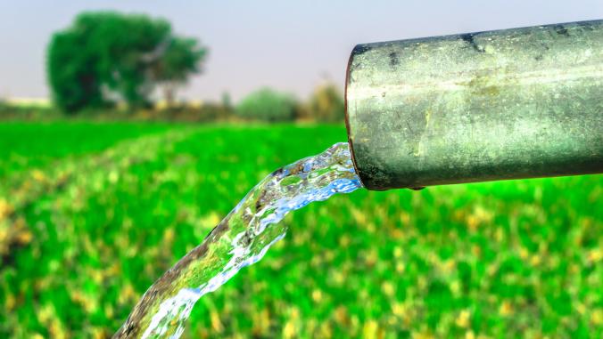 Water flowing into a wheat field from a solar tube well