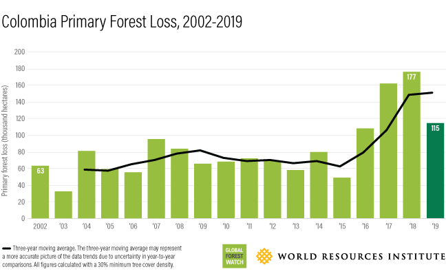 Graph shows forest loss in Colombia between 2002 and 2019