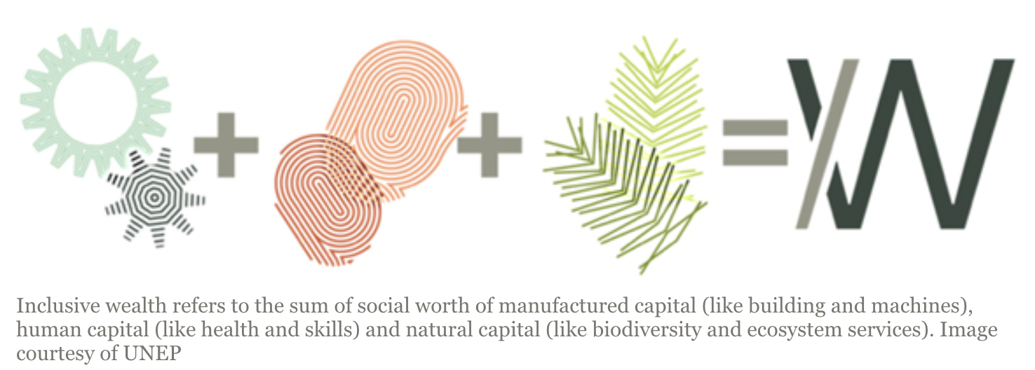 包容性财富是指制造业资本(如建筑和机器)、人力资本(如健康和技能)和自然资本(如生物多样性和生态系统服务)的社会价值总和。图片由联合国环境规划署提供