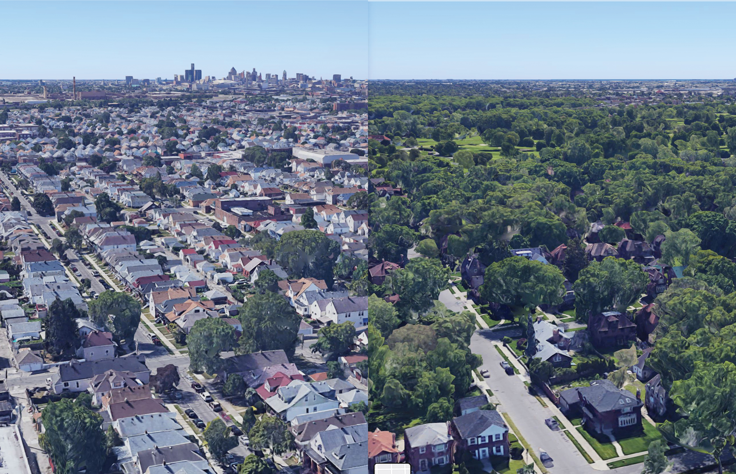 Urban tree cover