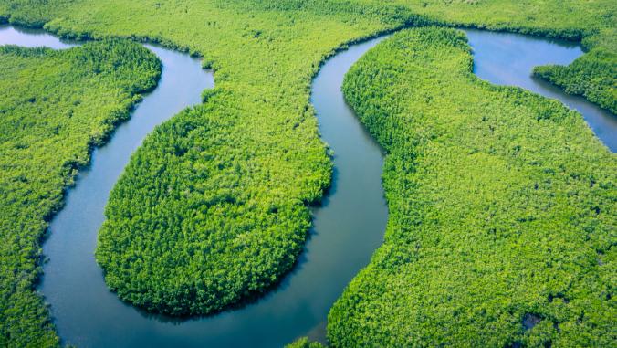 Aerial view of Amazon River.