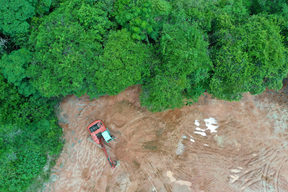 空中拍摄的森林和丛林中的空地。为了给棕榈油种植园让路，东南亚的热带雨林遭到破坏