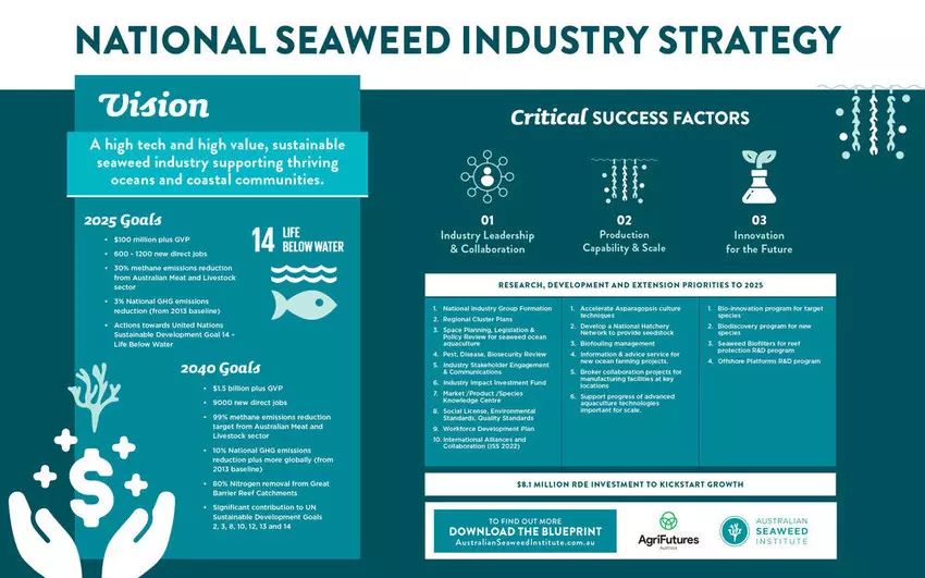 AustralianSeaweedInstitute_seaweedblueprint