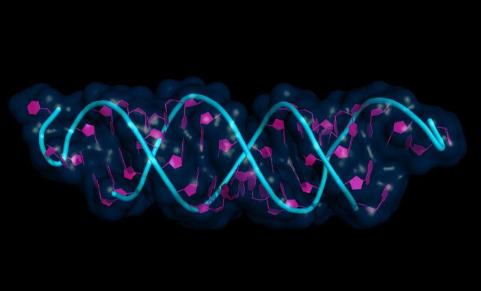 Synthetic Biology DNA