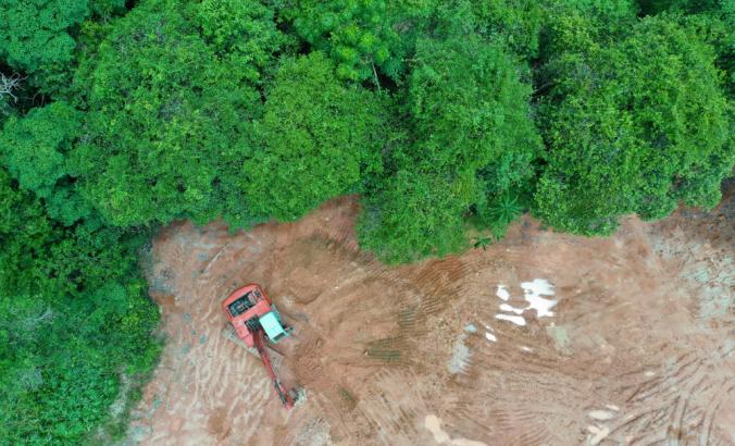 森林和丛林清理区域的空中镜头。东南亚的雨林丛林被摧毁，为棕榈油种植园让路